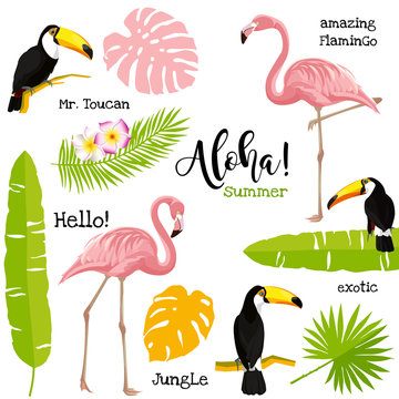 Poster with toucan, flamingo and palm leaves. Tropical vector illustration