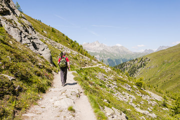 Muottas Muragl, Pontresina, Val Muragl, Alp, Wanderweg, Panoramaweg, Klimaweg, Wanderer,...