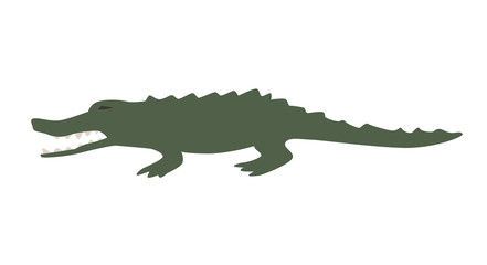 Funny green alligator. Flat vector illustration. Isolated on white background.