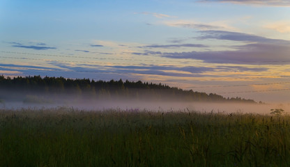 Evening fog at sunset in the field. A fantastic view of the evening mist. The dark background. Colorful sky at sunset. Evening fog scattered across the field in the countryside.