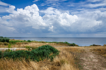 Steppe coast of the Black Sea.