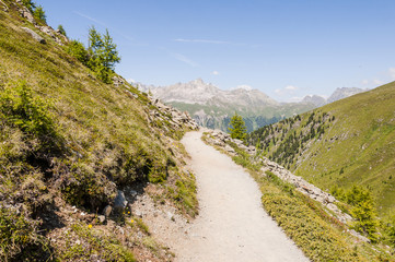 Muottas Muragl, St. Moritz, Val Muragl, Wanderweg, Panoramaweg, Alpen, Oberengadin, Graubünden, Sommer, Schweiz