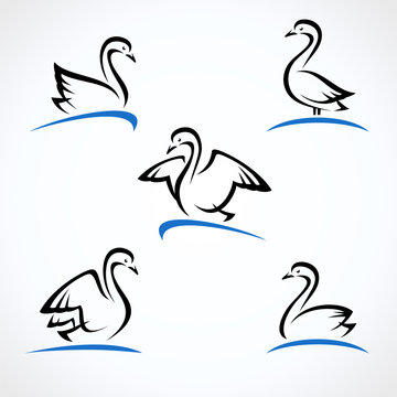 Swan set. Collection label and icons. Vector