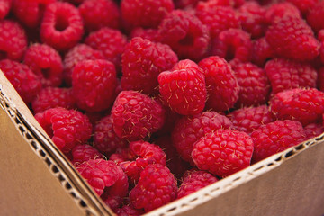 Fresh raspberries in paper box