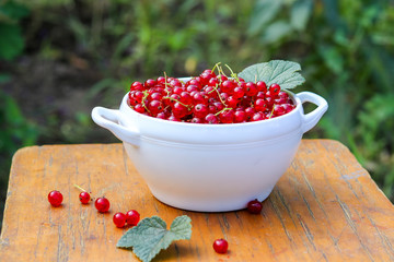 Fresh juicy delicious red currant in white bowl on the old wooden chair outside. Natural organic antioxidant food concept