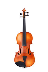 Plakat Violin isolated on white background