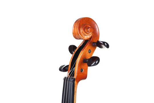 Violin head on white background
