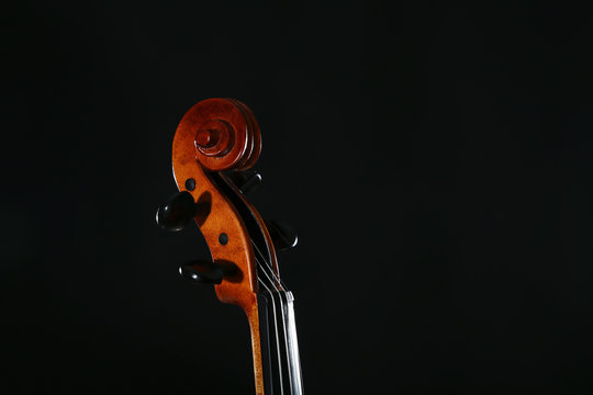 Violin head on black background