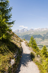 St. Moritz, Muottas Muragl, Wanderweg, Panoramaweg, Oberengadin, Alpen, Piz Julier, Piz Nair,  Graubünden, Sommer, Schweiz