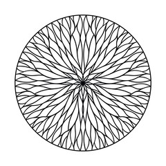 Circular ornament from flowing lines. Natural Geometry. Vector decor elements