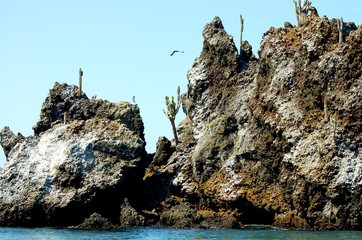 Volcanic Rock - Floreana Island - Galapagos