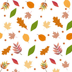 Herbst Muster