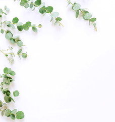 Fototapeta premium green eucalyptus branches on white background. Flat lay, top view. copy space
