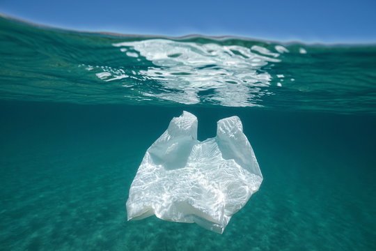 Underwater pollution a plastic bag adrift in the Mediterranean sea below water surface, Almeria, Andalusia, Spain