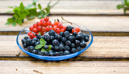 Blueberry and rowanberry lie on a plate on a table in the kitchen