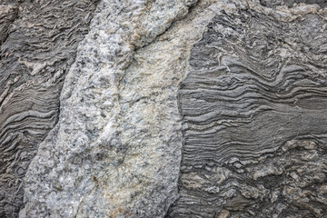 Quartz Band in a Gray Beach Rock in Maine