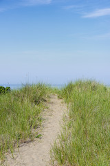 Fototapeta na wymiar Sandy Path to a Maine Beach in Summer
