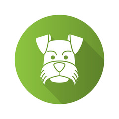 Miniature Schnauzer flat design long shadow glyph icon