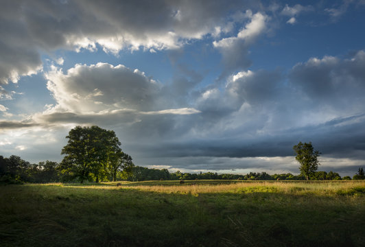 Dramatic Sunset Light on a Hudson Valley Field