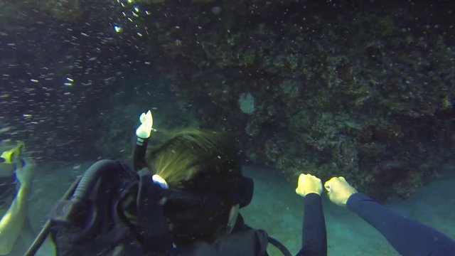 Sucba instructor shoing danger (moray eel) hiding in a hole in the reef, filmed in 60 fps