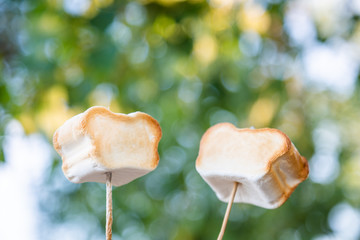 Cooking marshmallow, barbecue..