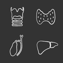 Internal organs chalk icons set