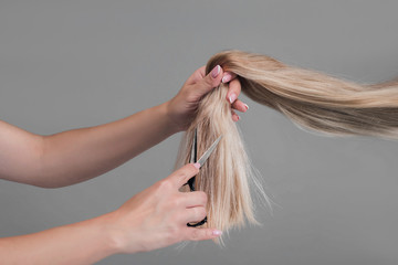 Professional stylist cutting off woman's hair, Female hairdresser hold in hand blonde hair, comb and scissors closeup. Keratin restoration, latest trend, fresh idea, instrument store concept