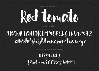 Red tomato. Handdrawn calligraphic vector font. Modern calligraphy.