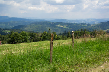Fototapeta na wymiar Field and meadow in Silesian Beskids, Poland - beautiful nature with hills and mountains.