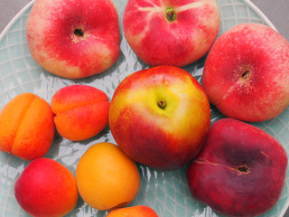 Sommerlicher Obstteller mit Aprikosen, Pfirsichen und Äpfeln