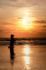 Fototapeta premium the dog gives his paw. A pet on the sea, a vacation and a healthy lifestyle. Nova Scotia Duck Tolling Retriever in nature