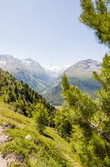 Pontresina, Val Roseg, Val Bernina, Morteratsch, Gletscher, Piz Bernina, Berninamassiv, Wanderweg, Oberengadin, Engadin, Alpen, Graubünden, Sommer, Schweiz