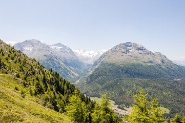 Fototapeta premium Pontresina, Val Bernina, Val Roseg, Roseggletscher, Rosatschgruppe, Alpen, Oberengadin, Wanderweg, Bernina, Graubünden, Sommer, Schweiz