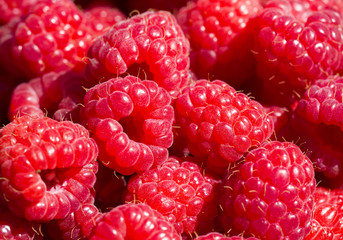 Closeup shot of fresh raspberries.