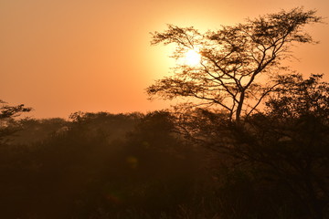 Sonnenaufgang in Afrika