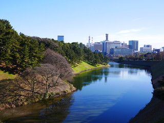 皇居のお堀