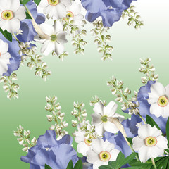 Fototapeta premium Beautiful floral background of narcissus, iris and lupine 