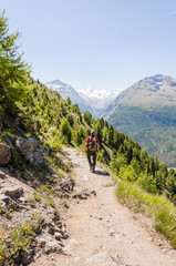 Pontresina, Muottas Muragl, Wanderweg, Val Bernina, Val Roseg, Piz Bernina, Morteratsch, Berninagruppe, Rosatschgruppe, Oberengadin, Alpen, Graubünden, Sommer, Schweiz