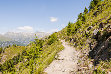 Fototapeta na wymiar Muottas Muragl, Panoramaweg, Wanderweg, Alpen, Oberengadin, Graubünden, Sommer, Schweiz