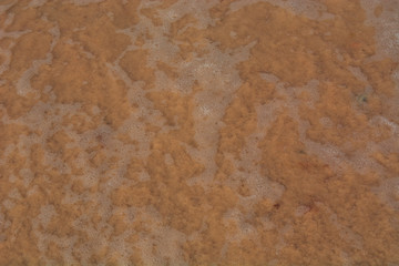 Sea soft  wave on the white sand  beach close up