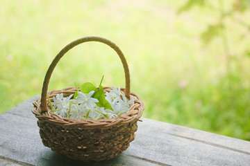 Fototapeta na wymiar Sweet Jasmine in a lovely basket laid on a wooden floor.