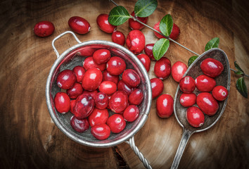 fresh cranberries on a kitchen table