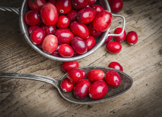cranberries
