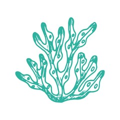 algae isolated hand drawing vector. on a white background.