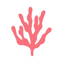 Obraz premium coral isolated hand drawing. vector on white background. marine animal.
