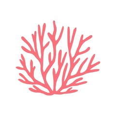 coral isolated hand drawing. vector on white background. marine animal