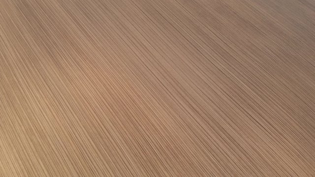 AERIAL: Flying over a large plowed empty soil field on a sunny day in summer. Cinematic view of plowed rows of an empty patch of land creating a cool texture in nature. Vast brown agricultural land.