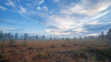 Scenic view from bog on a autumn morning