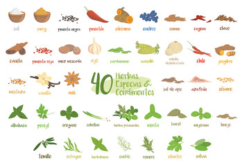 Obraz premium Set of 40 different culinary herbs, species and condiments in cartoon style. Spanish names.