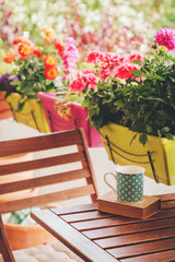 Cozy summer balcony with many potted plants, cup of tea and old vintage book